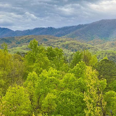 Amazing Views Villa Gatlinburg Bilik gambar