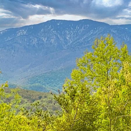 Amazing Views Villa Gatlinburg Bilik gambar