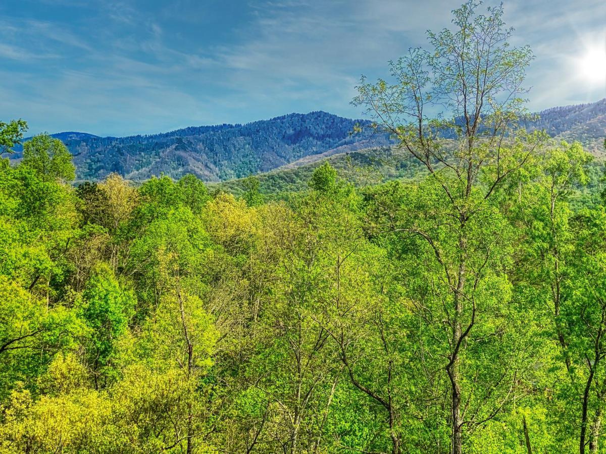 Amazing Views Villa Gatlinburg Luaran gambar